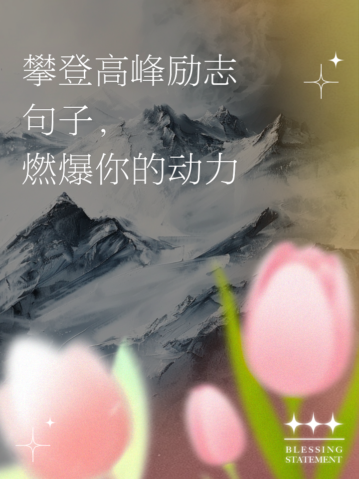 包含向顶峰挑战之登山赛：攀登者的极限之旅的词条