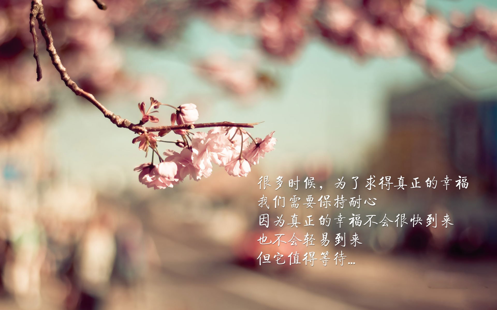 【雪国操作】瑞士换人滑雪板上场，全场尖叫，瑞士滑雪名将