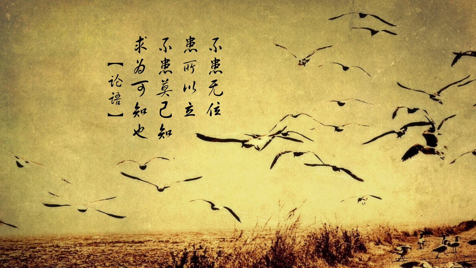AC米兰客场险胜都灵，积分紧追榜首，ac米兰联赛