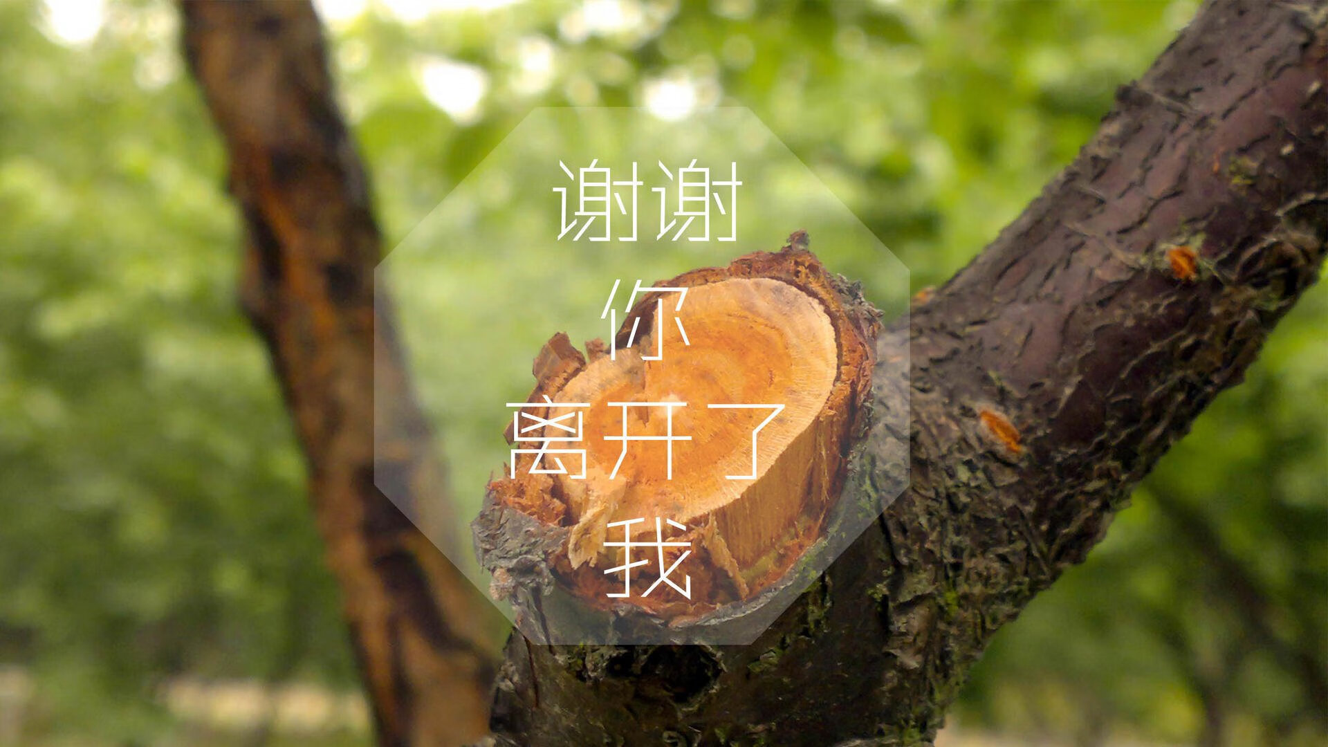 赫塔菲客场不敌奥萨苏纳，遭遇困境，赫塔菲实力