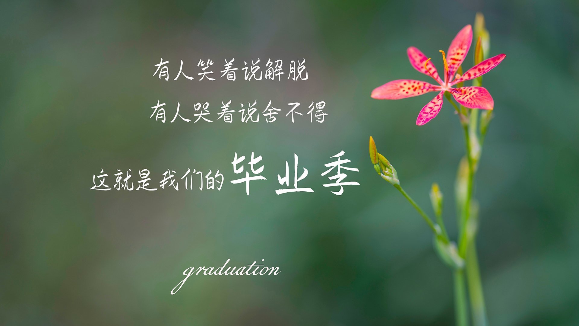 篮球训练中的多元文化交流与融合，如何理解篮球文化