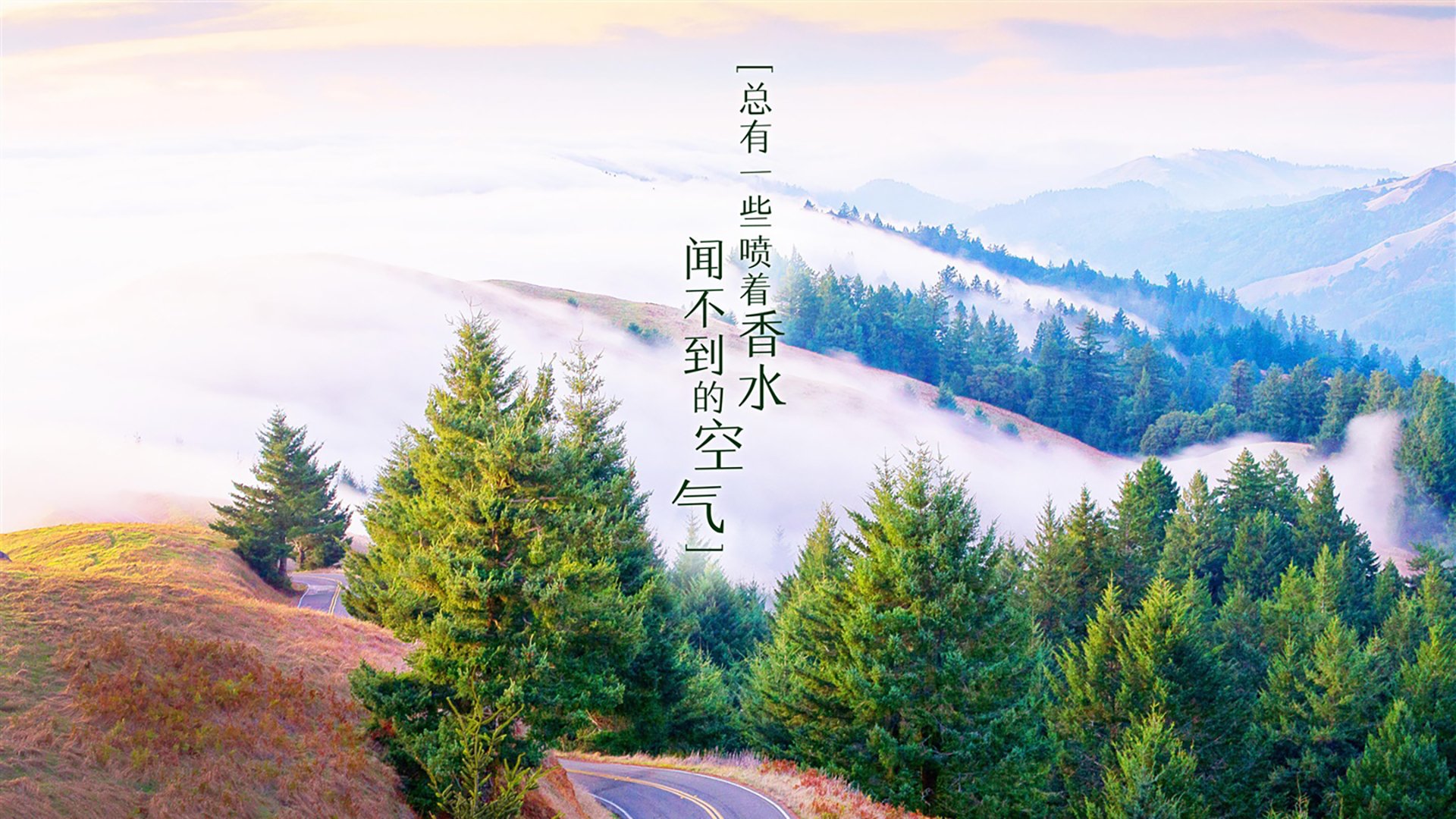 篮球专项技能训练规范体系构建与实施，篮球专项技能展示