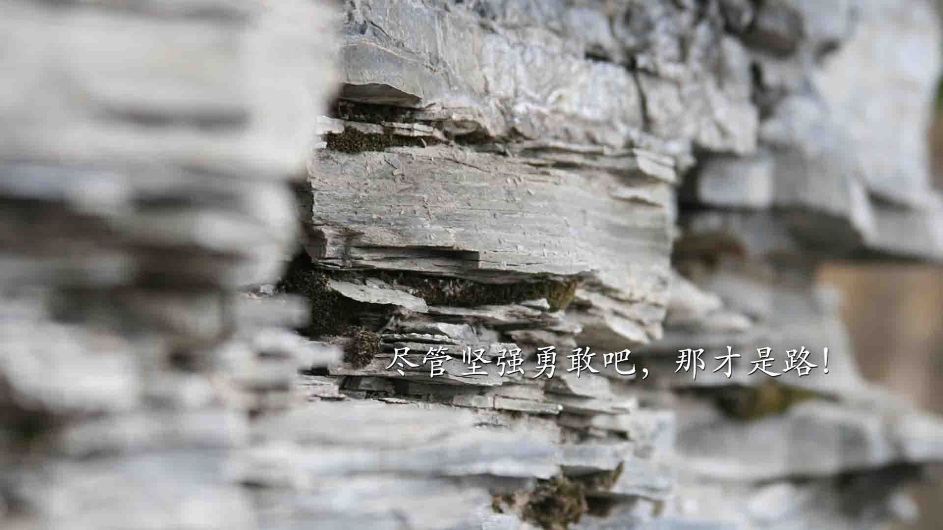 “安赫尔·巴尔博萨的进攻组合与防守调整，助力美洲狮队迎接更强挑战”