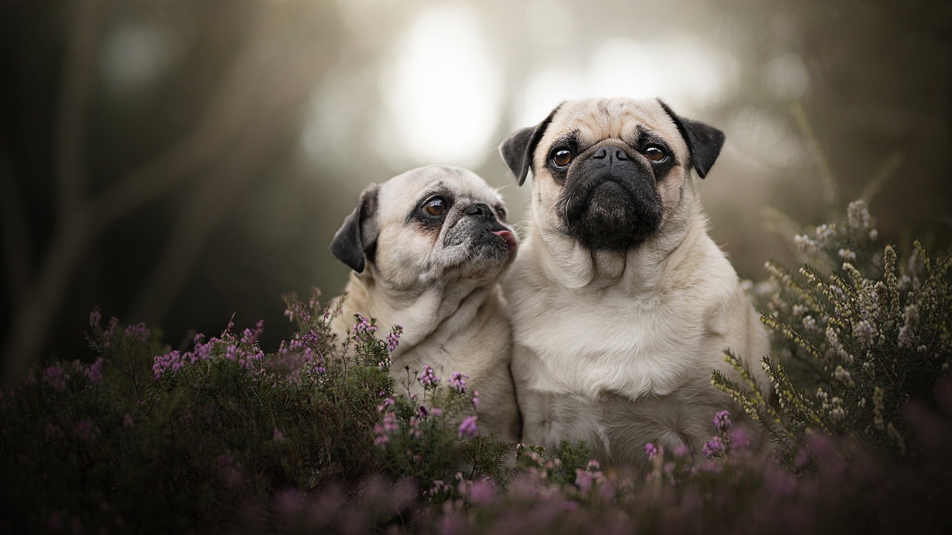 开云·体育官网-极限自行车赛事挑战高难度路线，极限自行车挑战赛下载