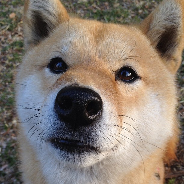 男子蝶泳选手冲击半决赛门槛，男子蝶泳金牌