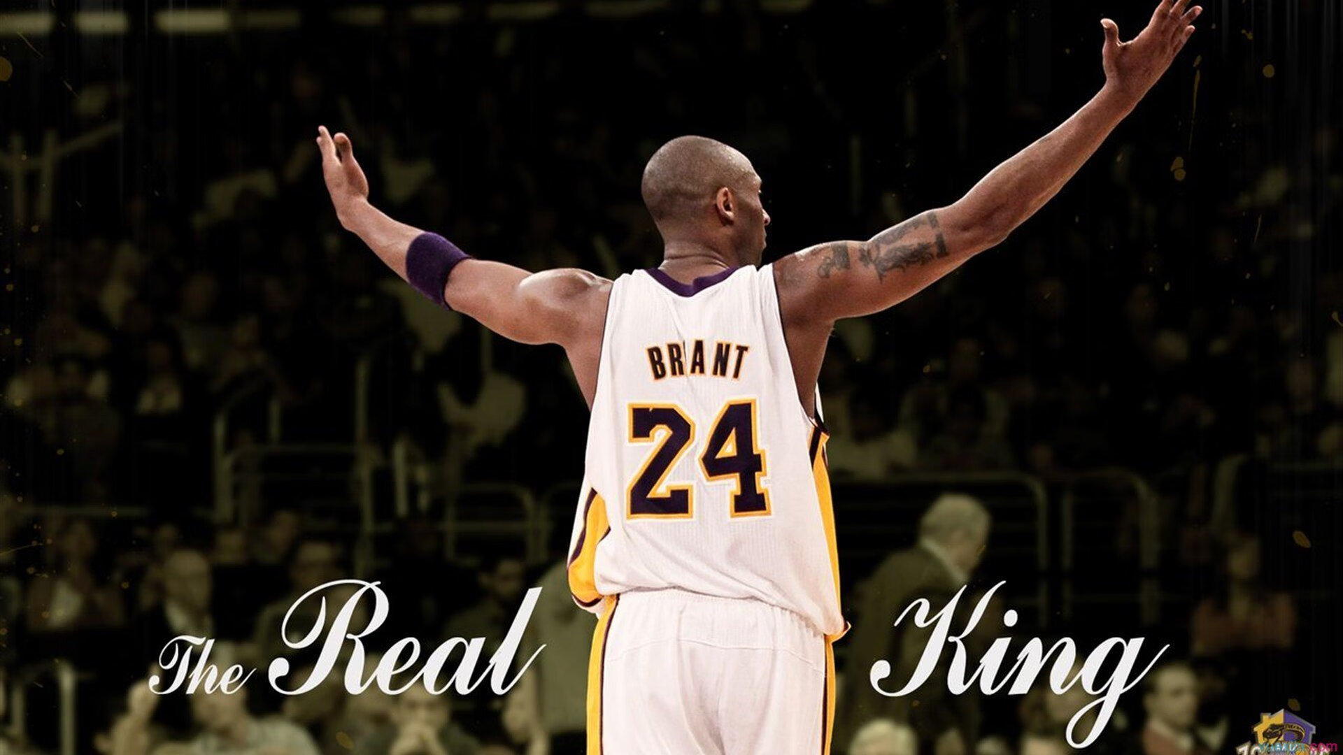 明星嘉宾：助阵台球比赛增添星光熠熠，打台球明星